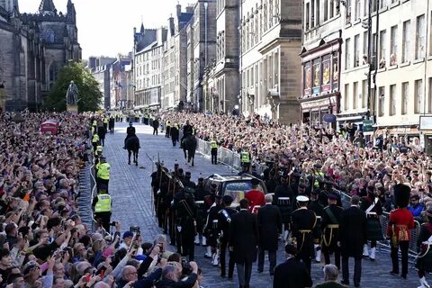 Royal mile отзывы
