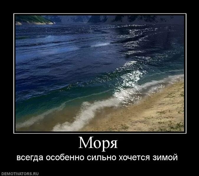 Шутки про море. Цитаты про море. Демотиваторы про море. Хочется на море.