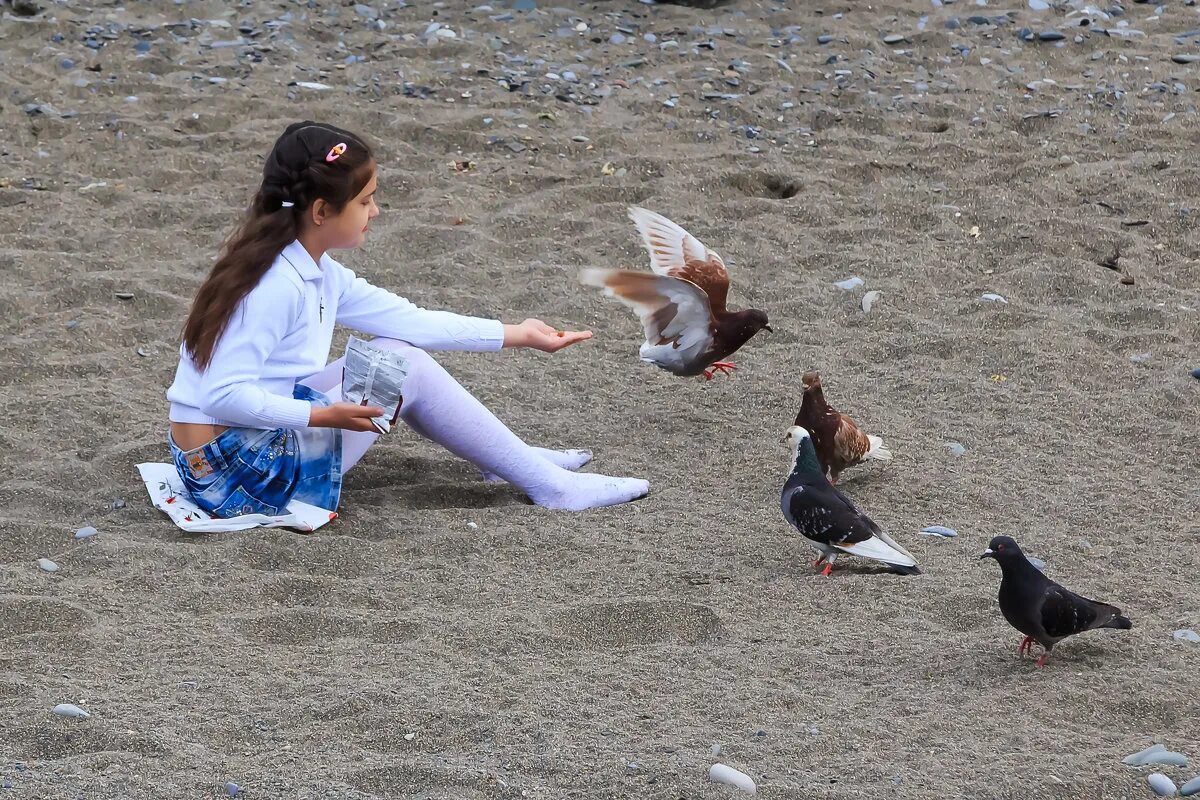 девочка кормила голубей. реши задачу на носки у бабушки. девочка кормила голубей сначала было. маленькие девочки кормят голубей. девочка кормит голубей.