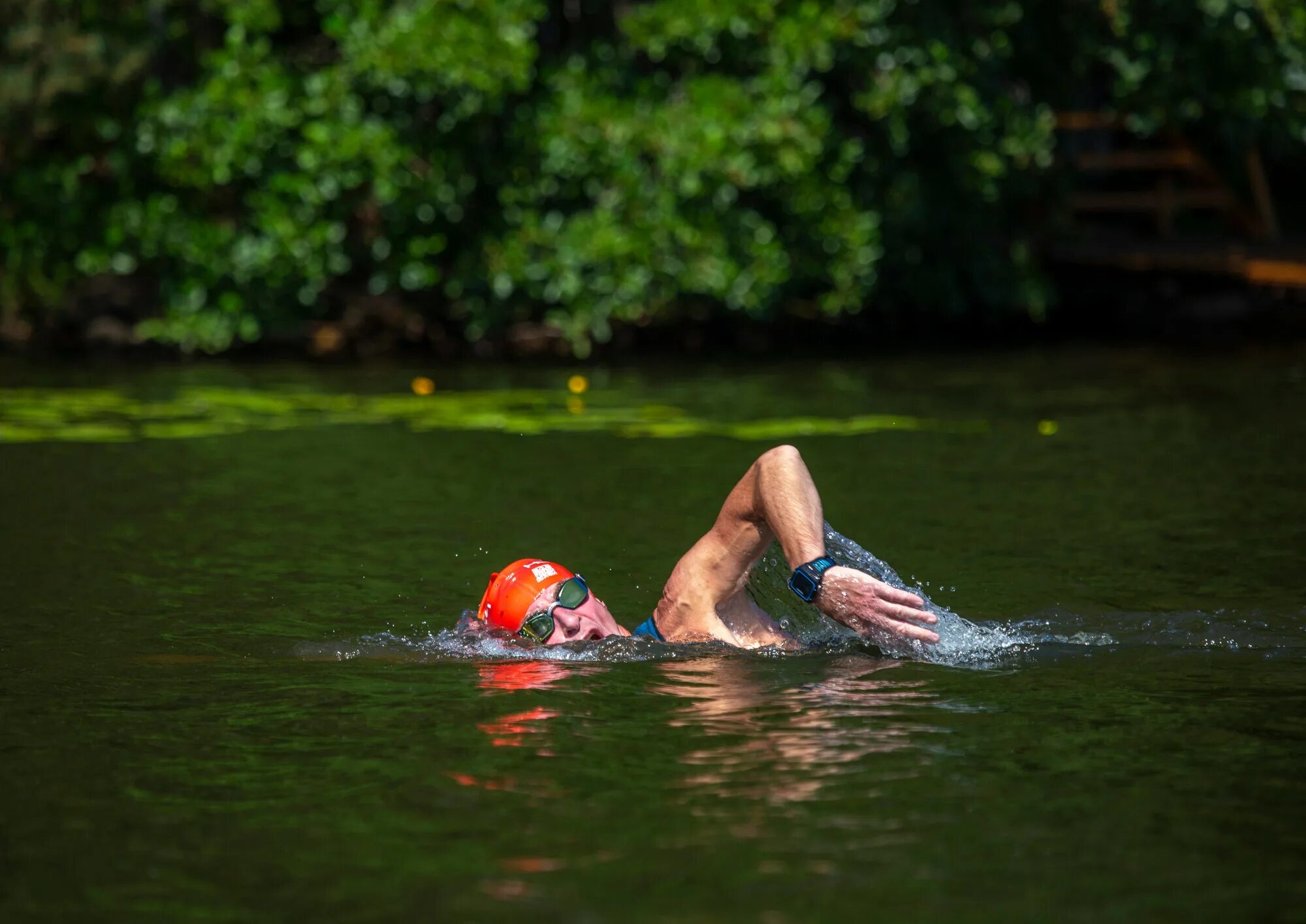 Озеро Хепоярви заплыв. Плавание на открытой воде. Плавать в озере. Заплыв на открытой воде.