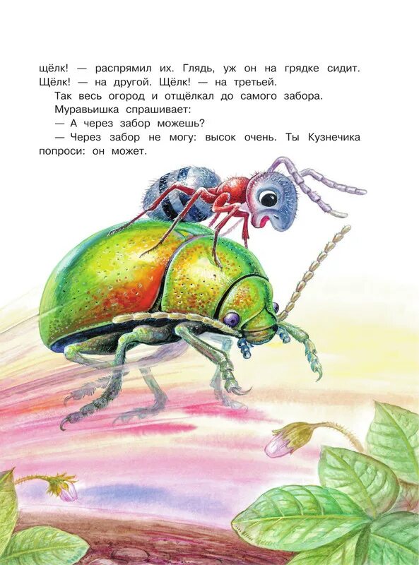 Бианки как муравьишка главные герои. Путешествие муравьишки бианки. бианки в. в. &quot;приключения муравьишки&quot;. произведения бианки приключения муравьишки. иллюстрация к сказке приключения муравьишки.