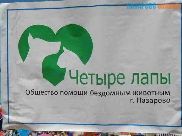 Поможем вместе фото. Четыре лапы стерлитамак помощь бездомным. Очень хорошая и дружелюбная собака на вид. Фонд 4 лапы. Диким животным нужна помощь.