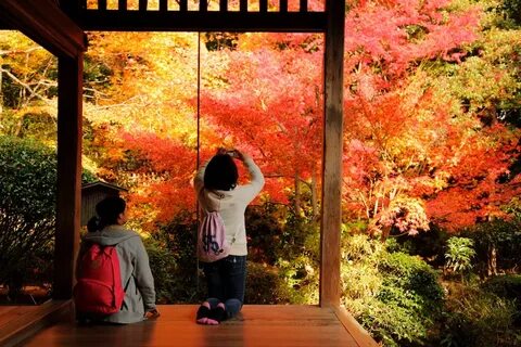 Japan friend