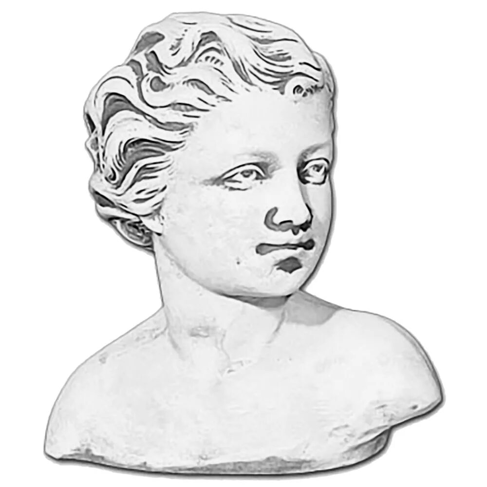 аполлон бельведерский набросок. нарисованный бюст. бюсты для рисования профиль. нарисованный бюст. гипсовая голова никколо да уццано.