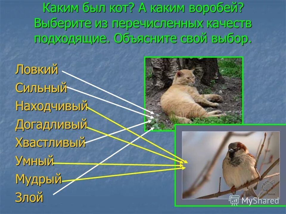 Воробей подобрать прилагательное. Кот и Воробей сказка. Кот и Воробей. Наблюдение «какие воробьи? Какие вороны?». Презентация конкурс самый догадливый.