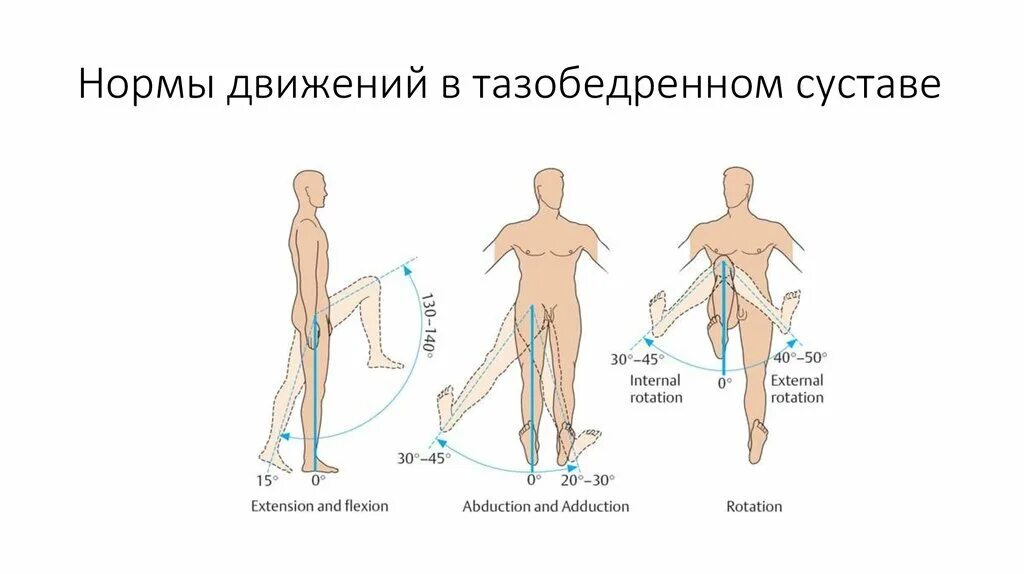 Максимальные движения суставов. Диапазон движения в тазобедренном суставе. Норма движения в тазобедренном суставе. Тазобедренный сустав сгибание разгибание отведение. Норма сгибания и разгибания в тазобедренном суставе.