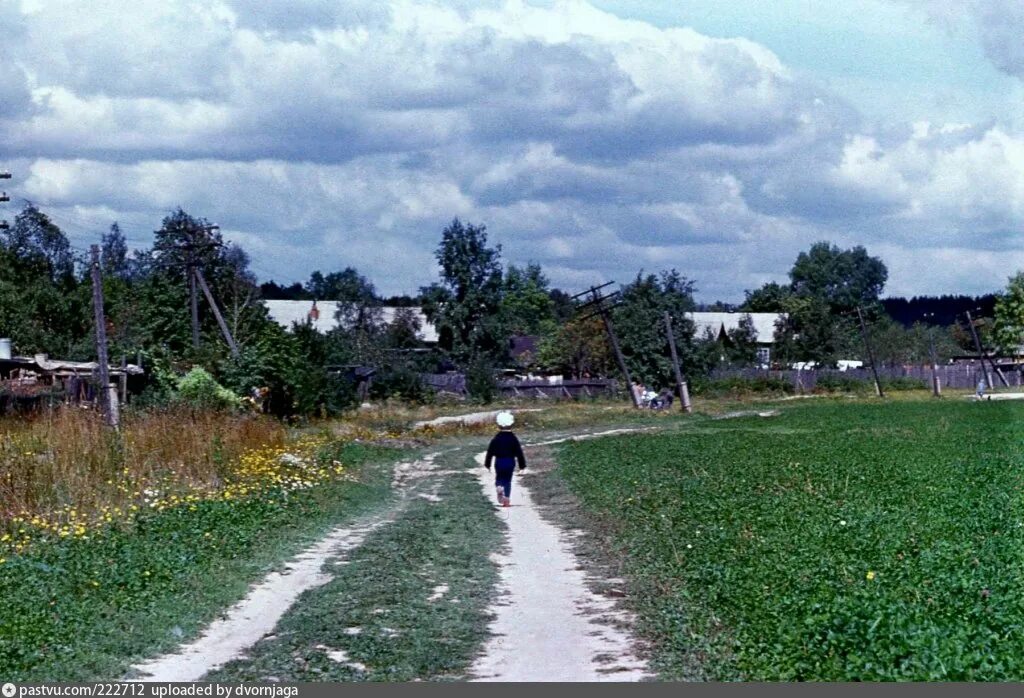 Очуры советская 137 фото. Поселок юдино ростовская область. Волошино озеро ростовская область. Волошино родионово несветаевский природа. Юдино ростовская область озеро.