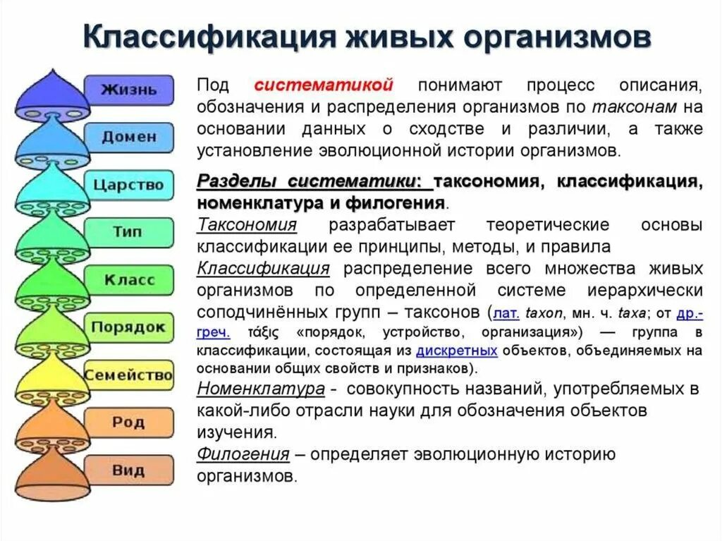 Что является органическими миром. Полная классификация живых организмов. Классификация живых организмов схема. Классификация живых организмов таблица. Систематическая классификация живых организмов.