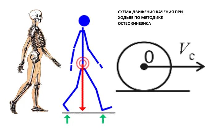 Как правильно ходить. Движение качения и ходьба человека. Правильное шагание.