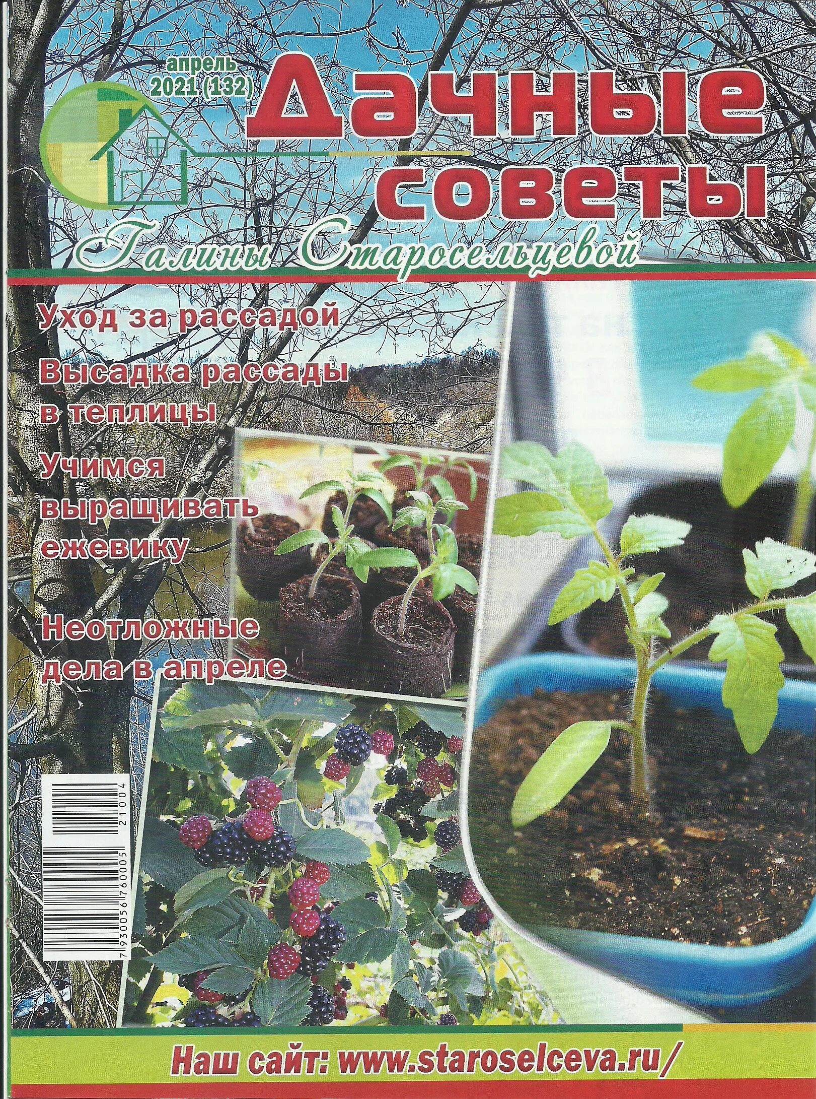 дачные советы с галиной. садовые советы. дачный. дачные советы с галиной. дачные советы с галиной.