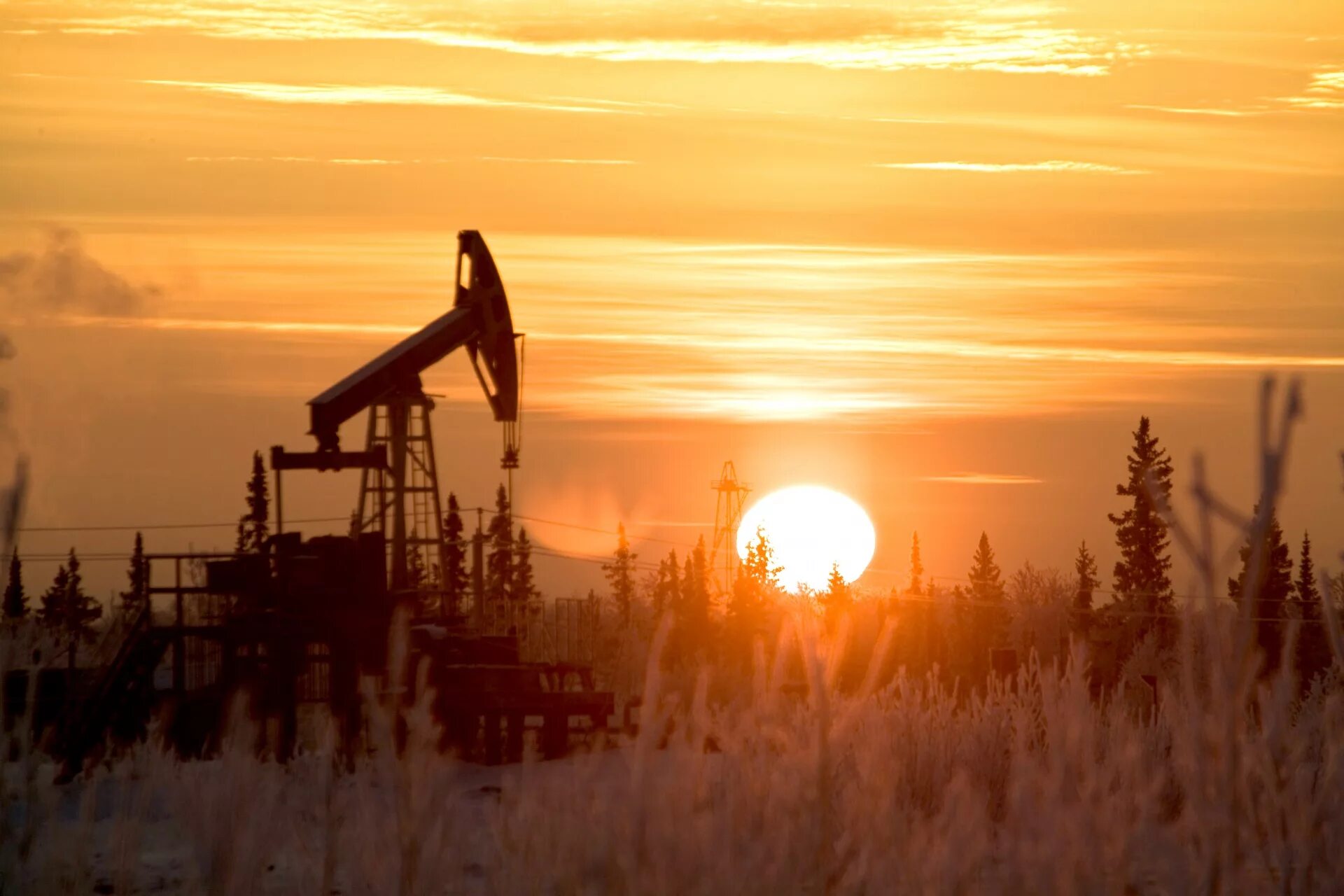 Нефтяная республика. Усинское месторождение нефти. Нефтяная республика. Месторождения нефти в республике коми. Нефтяная республика.