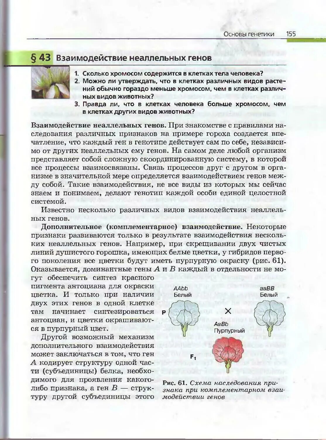 Учебник биологии 10-11 класс Каменский Криксунов Пасечник. Книга по биологии 10-11 класс Каменский. Биология 10-11 класс учебник Каменский Криксунов. Учебник по биологии 10-11 класс Каменский Криксунов.