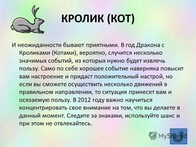 Знаки зодиака кролик года. Год кота и кролика. Характеристика знака зодиака кролик. Кот кролик гороскоп. Кот знак зодиака характеристика.