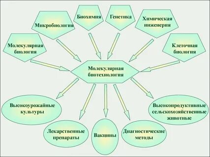 История биотехнологии