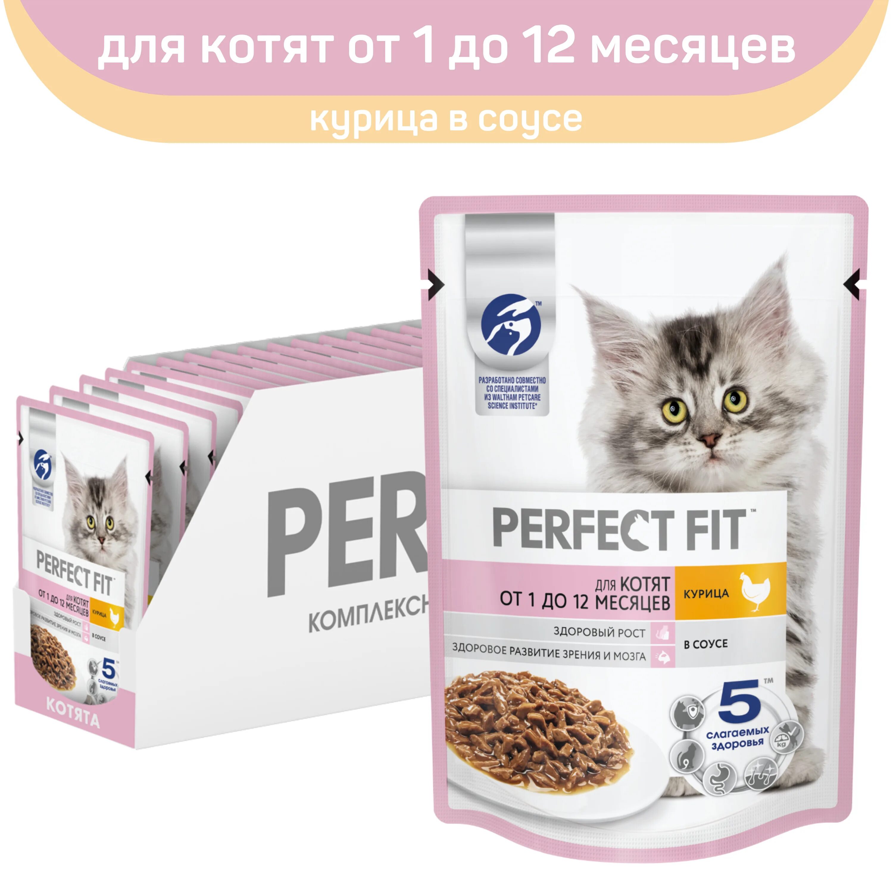 Купить корм perfect. Перфект корм для котят. Перфект фит для котят влажный. Perfect Fit корм для котят влажный. Перфект фит для котят паучи.