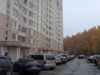 Чехова 3 7 6
