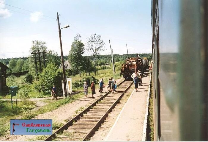 Хвойная будогощь. Станция Анциферово-Мологское. Станция Анциферово Московская область. Станция Анциферово Новгородской области. Платформа Анциферово.