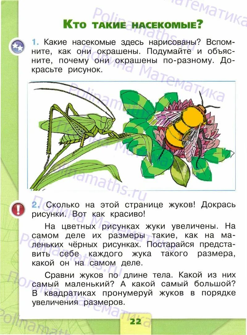 Окружающий мир 1 класс страница 79. Учебник окружающий мир 1 класс школа россии. плешаков окружающий мир 1 класс учебник рабочая тетрадь. окружающий мир 1 класс часть. окружающий мир плешаков 1 класс 1 часть.