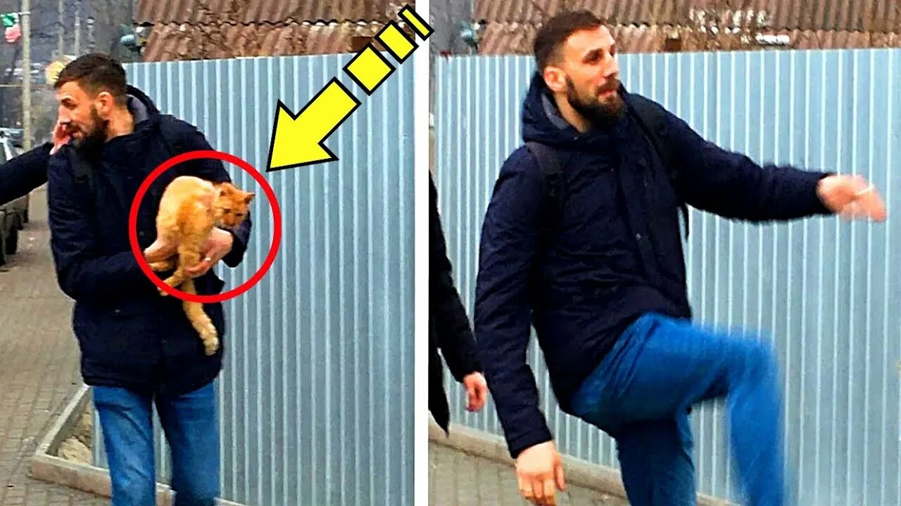 Хозяин выбросить