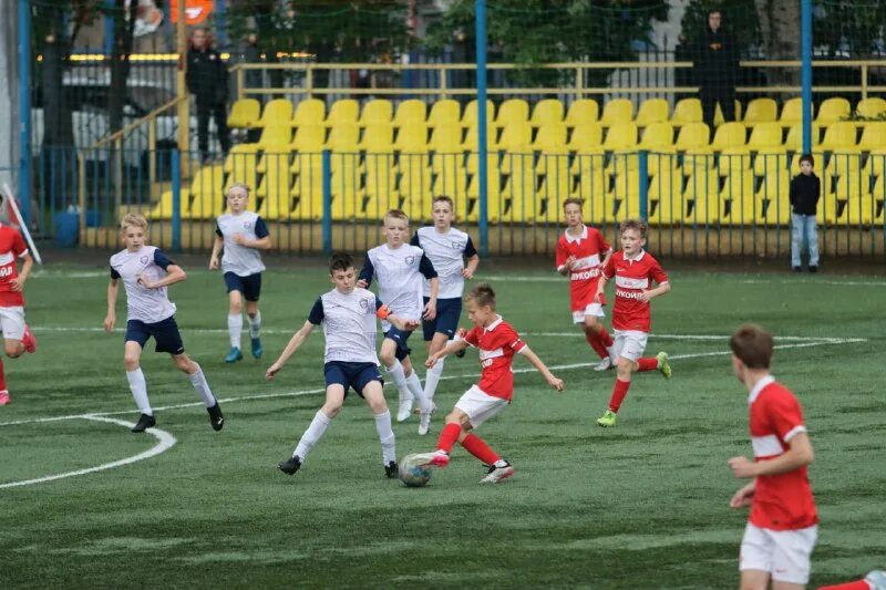 кубок москвы 1 этап. кубок москвы по плаванию ii этап. пейнтбольная команда русский легион.