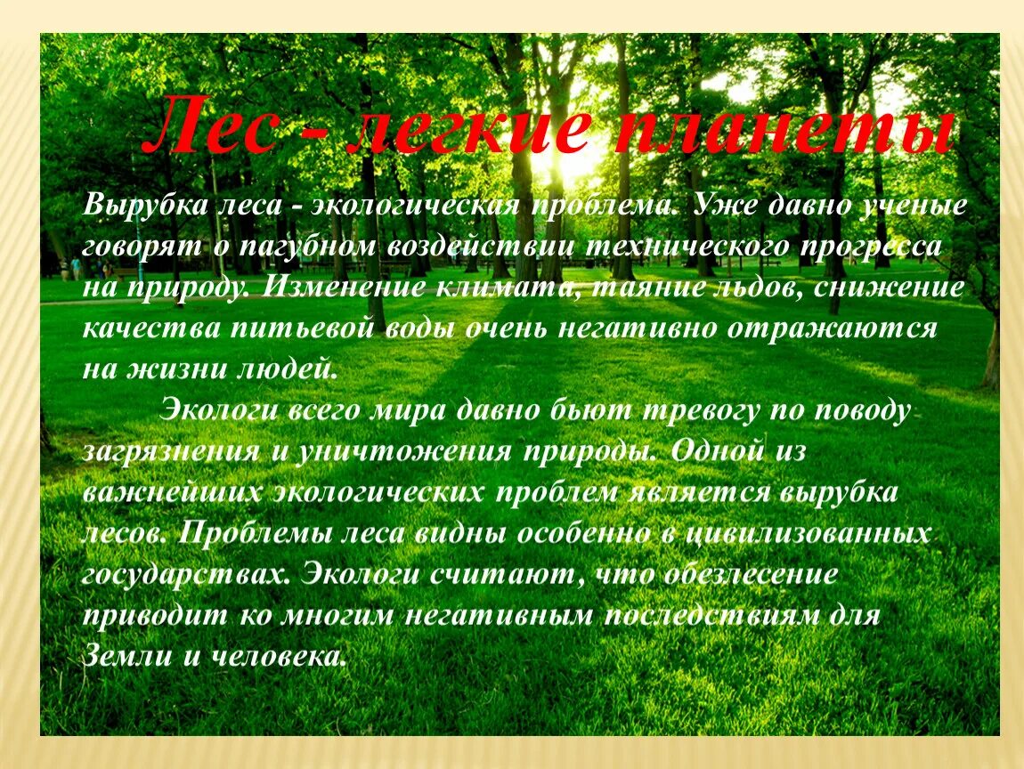 Охрана леса от вырубки. Лес для презентации. Лес-наше богатство презентация. Богатства природы лес. Доклад про лес.