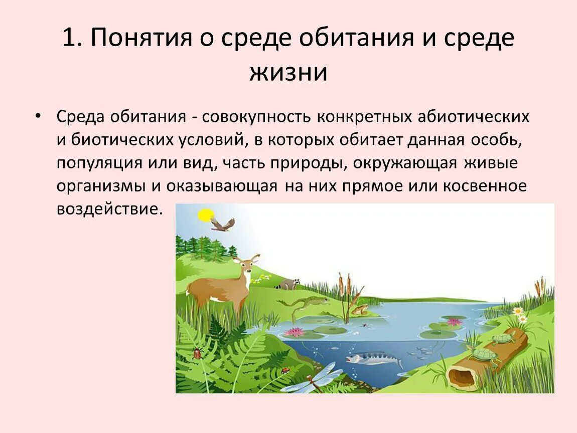 Среда обитания. Среды жизни организмов. Среды жизни обитания. Понятие о среде обитания.