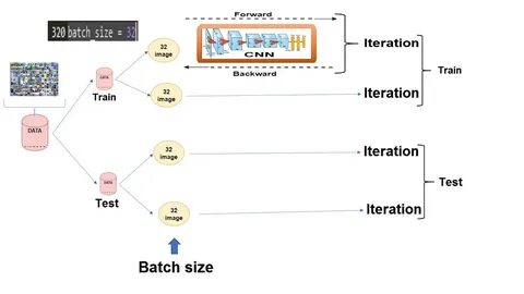 Batch size