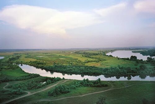 Поволжского типа. Левобережье Поволжья. Рельеф Поволжья. Юго Восточная равнина Поволжье. Современные ландшафты Поволжья.