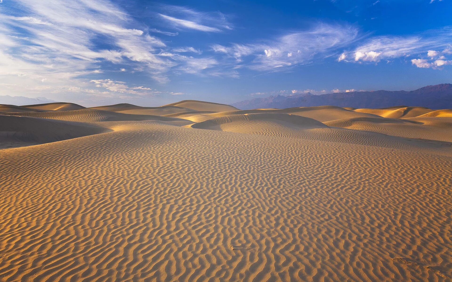 Дюны Барханы грядовые Пески. Пустыня Бледовска. Песчаные дюны Калахари. Эль ХАМРА пустыня.