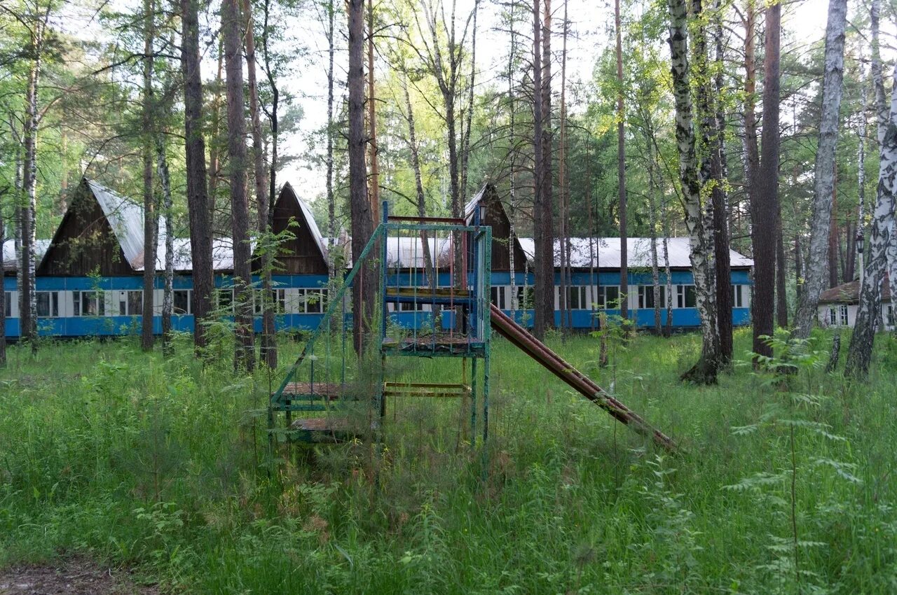 Пионерские лагеря новосибирск. Пионерлагерь незабудка новосибирск. Лагеря в новосибирске. Пионерские лагеря новосибирск. Заря лагерь новосибирск боровое.