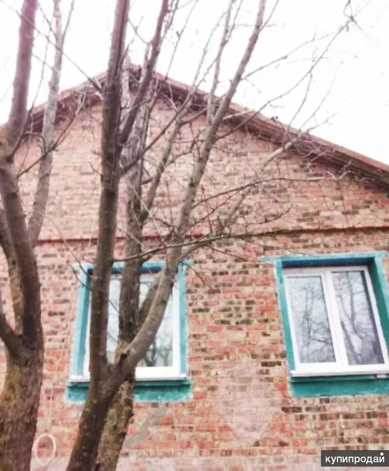 Освободители станицы обливской. Обливская ростовская область. Погода в сиволобове обливского. Освободители станицы обливской. Хутор сиволобов ростовская.