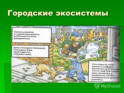 Городская экосистема
