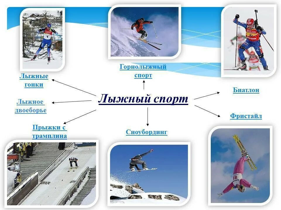 Какие виды спорта относятся к лыжному спорту. Виды лыжного спорта. Виды спорта на лыжах список. Разновидности лыжных видов спорта. Перечислить виды лыжного спорта.