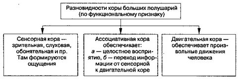 Обобщите и представьте