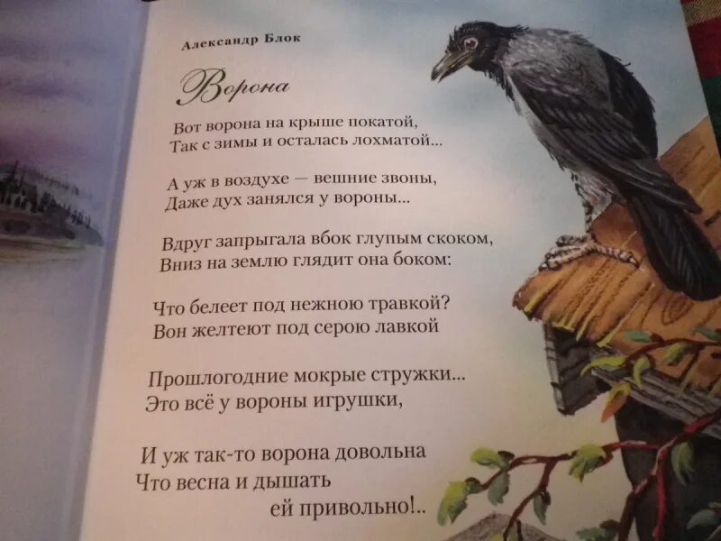 Стихотворение ворона. Стих ворона блок. Стих про ворону. Стихотворение о Вароне. Ворону летит пушкин