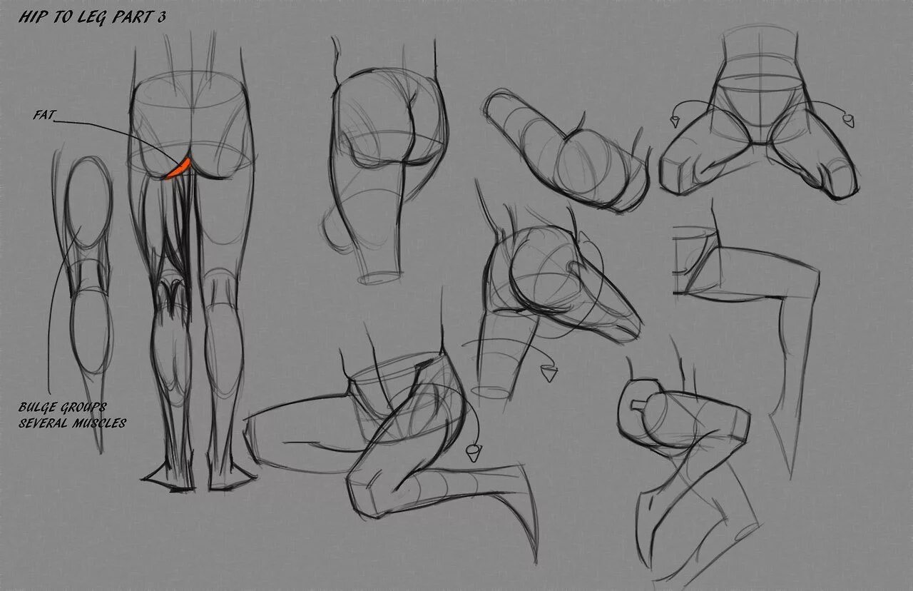 Leg reference