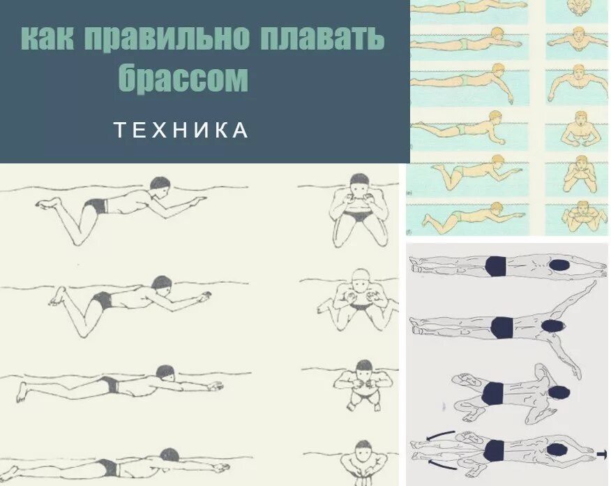 Как научиться плавать самостоятельно