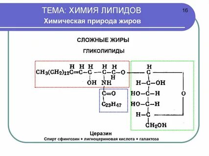 Хим состав липидов