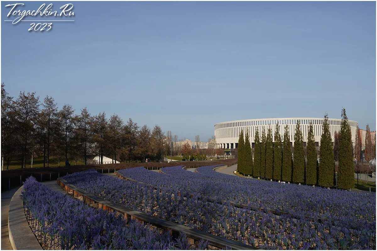 Парк галицкого в краснодаре 2023г. Краснодар парк галицкого 2024. Парк гальского краснодар. Парк галицкого в краснодаре 2023. Парк галицкого январь 2023.