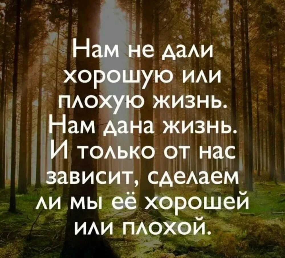 Афоризмы про жизнь. Умные цитаты про жизнь. Цитаты про жизнь. Выражения про жизнь.