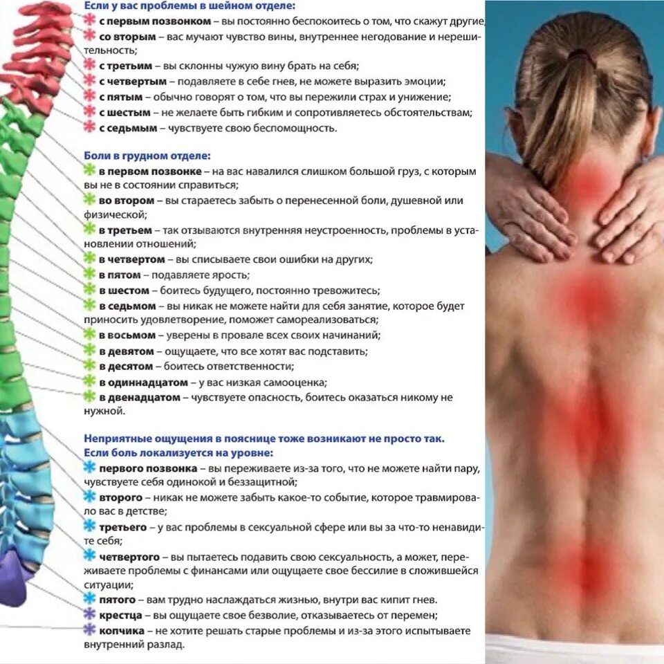 Поясница хей. Боль в спине психосоматика таблица. Психосоматика болезней позвоночника грудного отдела позвоночника. Спина позвоночник. Боль между лопаток психосоматика.