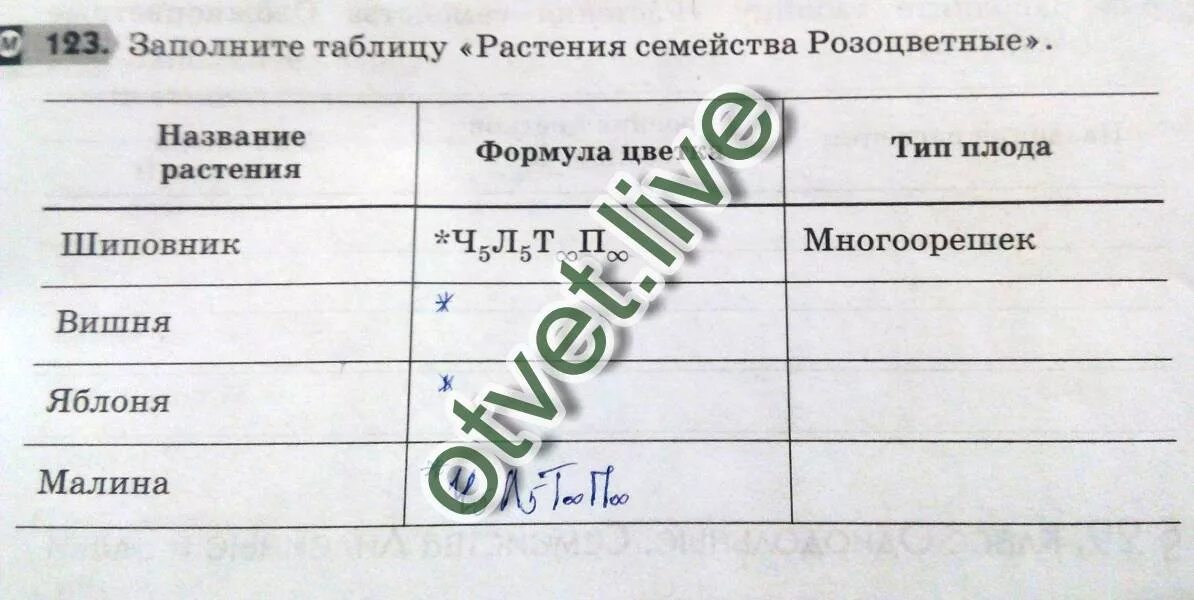 Заполните таблицу растения семейства розоцветные. Заполни таблицу растения семейства розоцветные. таблица растения семейства розоцветные. заполните таблицу растения семейства розоцветных.