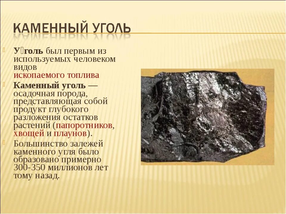 В древности образовали залежи каменного угля. Основное свойство каменного угля 3 класс. Каменный уголь происхождение. Полезные ископаемые уголь. Полезные ископаемые каменный уголь.