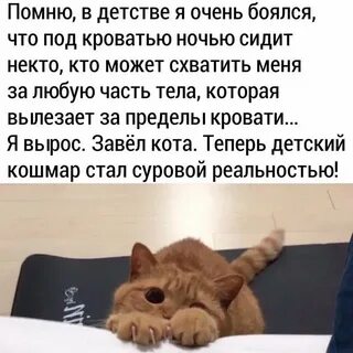 Боишься сиди дома