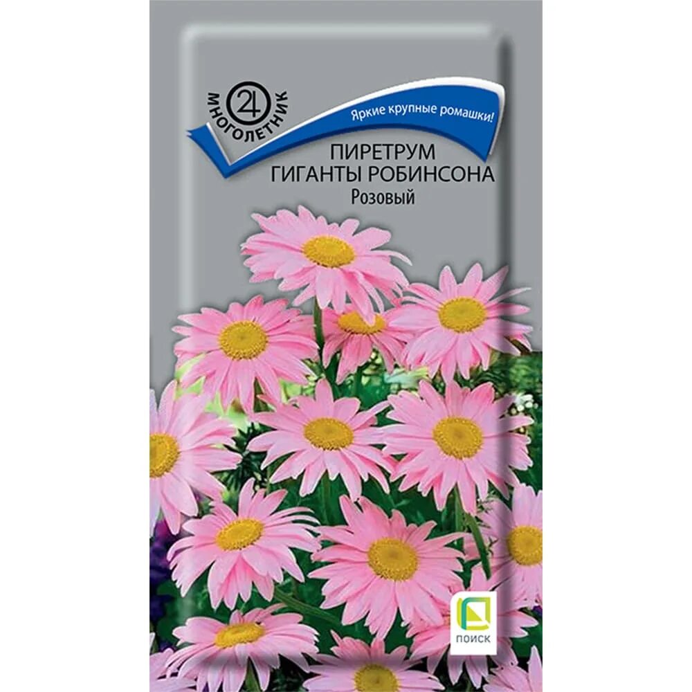 Пиретрум гиганты робинсона розовый. Пиретрум красный гиганты робинсона. Цветок пиретрум красный гиганты робинсона. Пиретрум гиганты робинсона. Пиретрум красный семена.