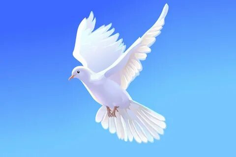 Әдемі жалғыз қыздар бейнелері