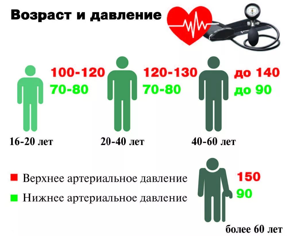 60 насколько. Норма артериального давления у человека. Артериальное давление норма. Артериальнооедавление норм. Понижение показателей артериального давления.