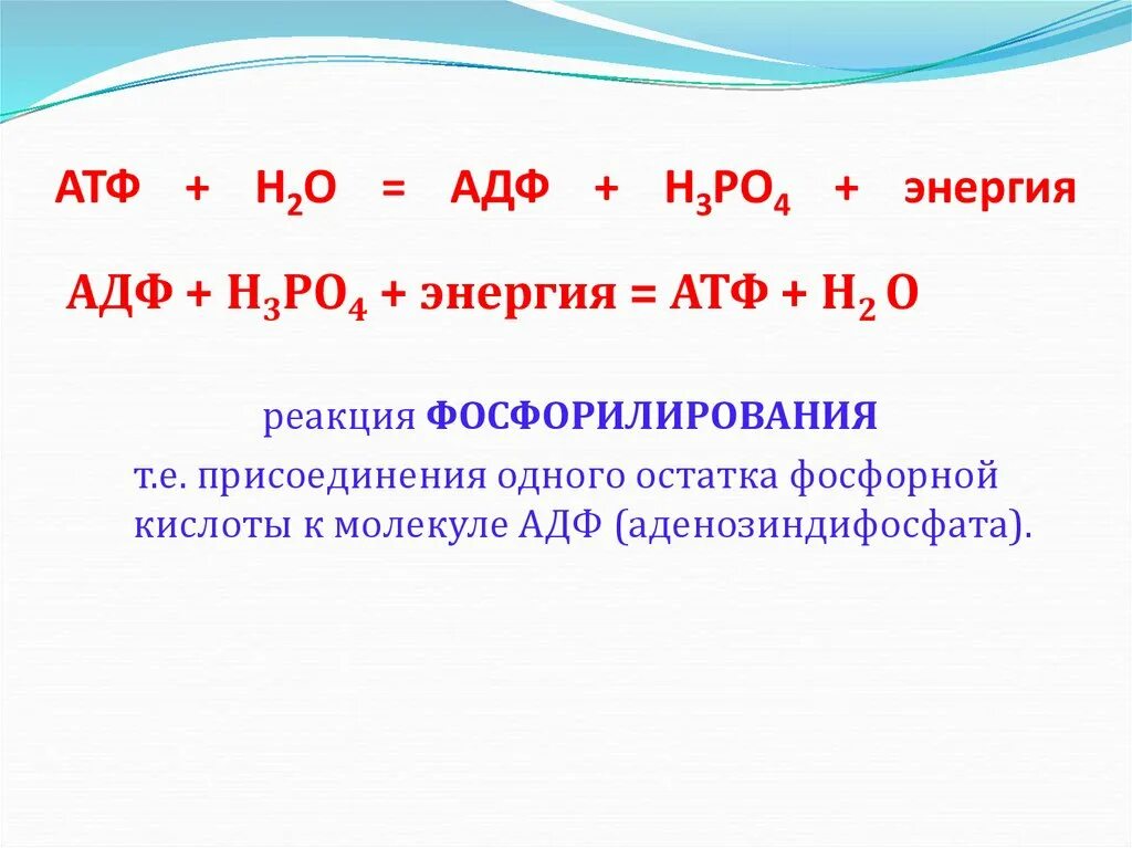 Атф н2о. АТФ н2о АДФ н3ро4. АТФ фосфорная кислота. АТФ И вода реакция. АТФ В АДФ реакция.