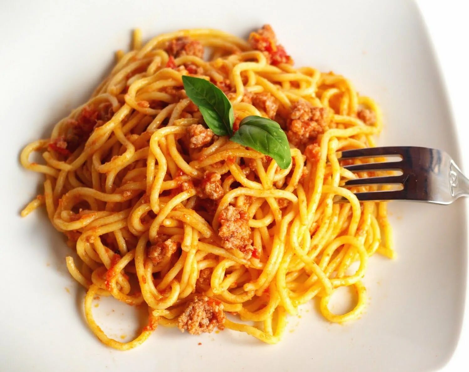 Скачай взломку спагетти. Спагетти ди манзо. Sabella спагетти. Spaghetti al ragu. Melia спагетти.