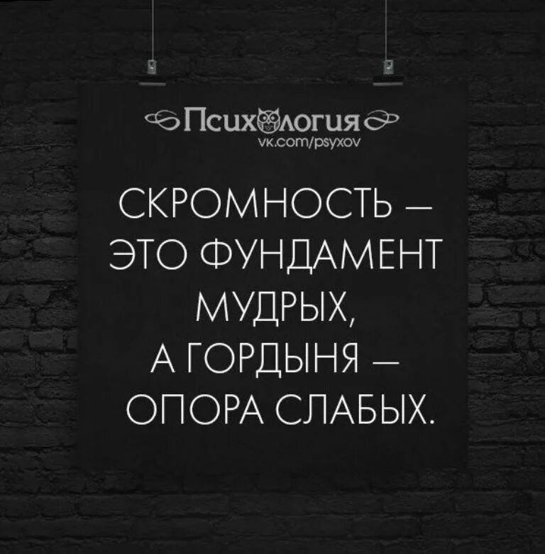 Скромность цитаты. Скромный человек.цитат. Афоризмы пол скромность. Высказывания про скромность.